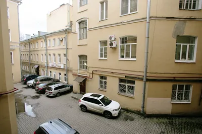 Петербургская квартира с окнами в просторный двор — sm.webp