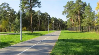 Квартет — sm.webp