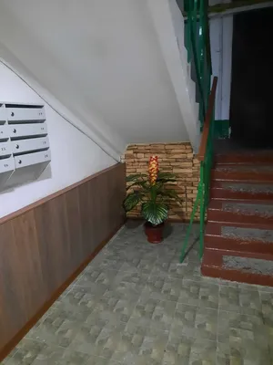 Море рядом — sm.webp