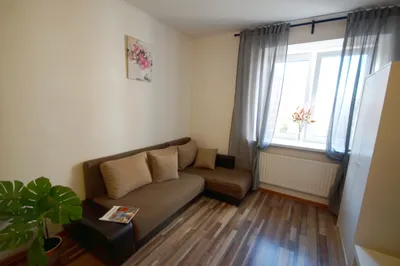 Турку 290 — xl.webp