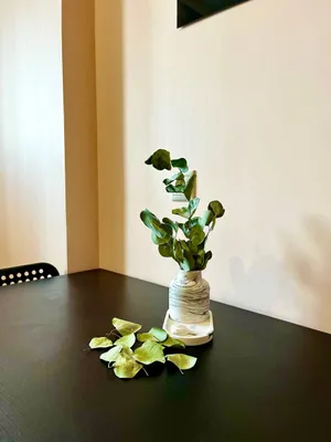 Sunny Days Apartment Pervyi Klubnyi 2 — sm.webp