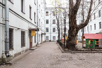 Небольшая студия у Таврического сада — sm.webp
