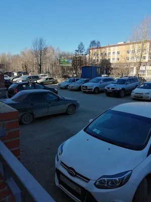 Апартамент Зебра — sm.webp