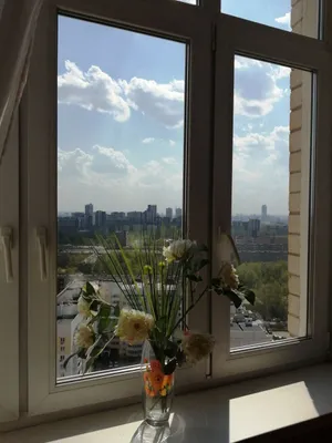 Апартамент Зебра — sm.webp