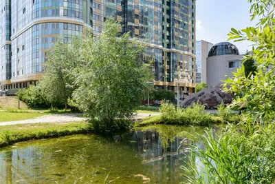 Апартаменты премиум класса с камином — sm.webp