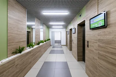 Appartement De Luxe — Баумана — sm.webp