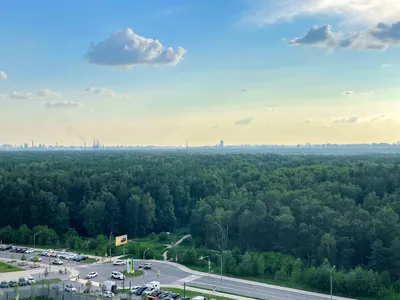 Апартаменты Sunny Days Orange Park 18 — sm.webp