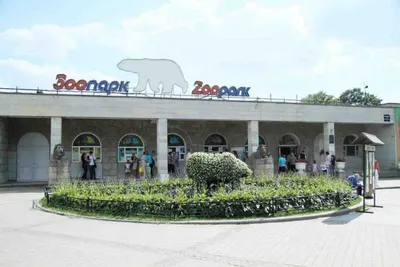 Студия в сердце Петроградской стороны Петербурга — sm.webp
