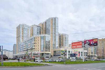 Морская звезда — sm.webp
