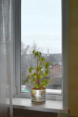 Площадь им.Ленина — sm.webp