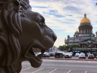 Просторная евро 3 комнатная квартира у парка и ТРЦ — xl.webp