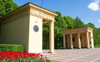 Просторная евро 3 комнатная квартира у парка и ТРЦ — sm.webp