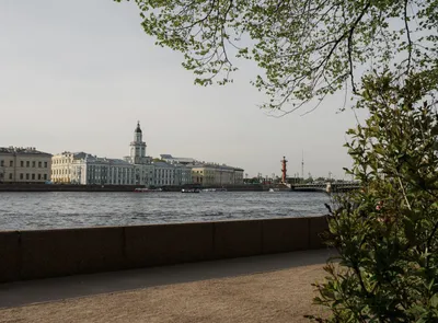 Royal ZAVAapart с видом на Неву — xl.webp