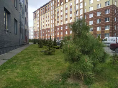 Верхнее Озеро, центр рядом — sm.webp