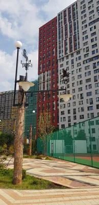 Шоколад — sm.webp