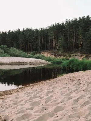 База отдыха Крутой Яр — sm.webp