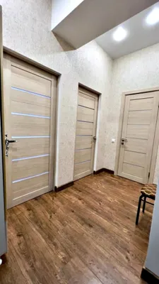 Квартира — xl.webp