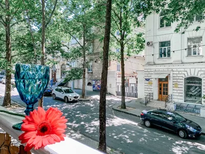 Счастье жить в яркой двухкомнатной квартире в самом центре Севастополя  — sm.webp