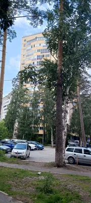 Апартаменты Лайф Медгородок — sm.webp