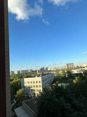 Уютная студия Botanika life у метро Владыкино  — xl.webp