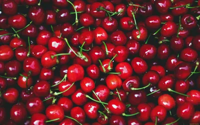 Отдыхай со Вкусом ! — sm.webp