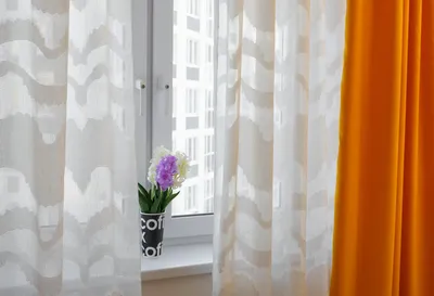 Самозаселение 24х7 Henri matisse — sm.webp