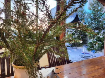 Коттедж № 1 с сауной, камином и 2 спальнями. — xl.webp