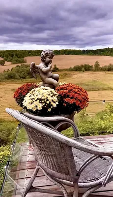 La collina — xl.webp