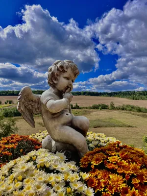 La collina — sm.webp