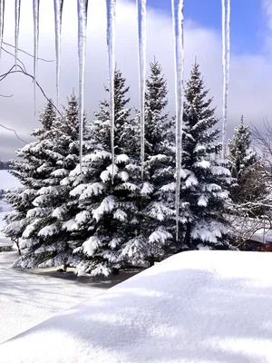 La collina — sm.webp