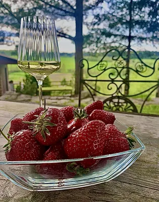 La collina — sm.webp