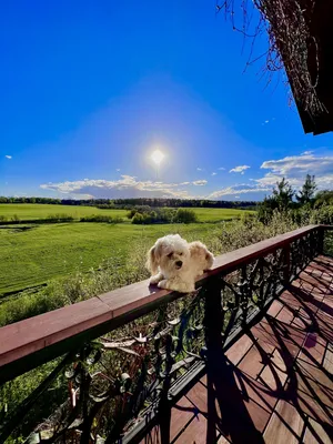 La collina — sm.webp
