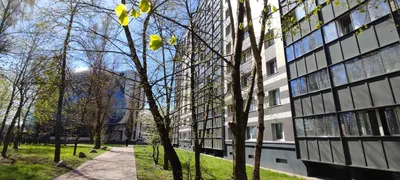 Квартира — sm.webp