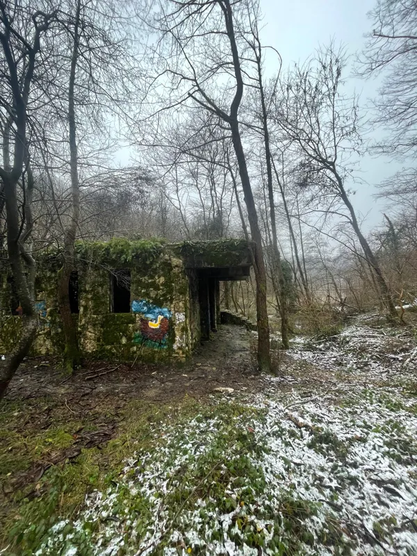 Заброшка в лесу Интересное место Заброшка в лесу — панорама и вид
