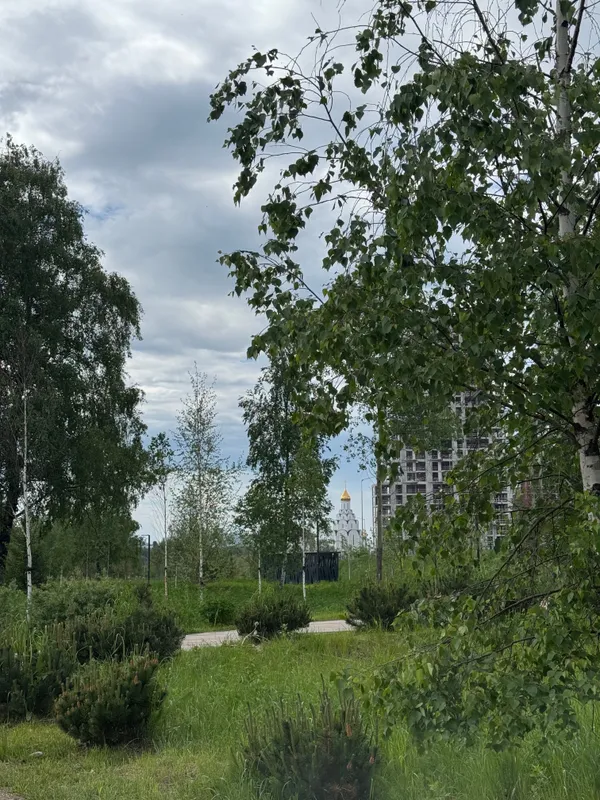 Экотропа Примавера Интересное место Экотропа Примавера — панорама и вид