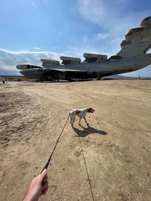 Экраноплан «Лунь» — xl.webp