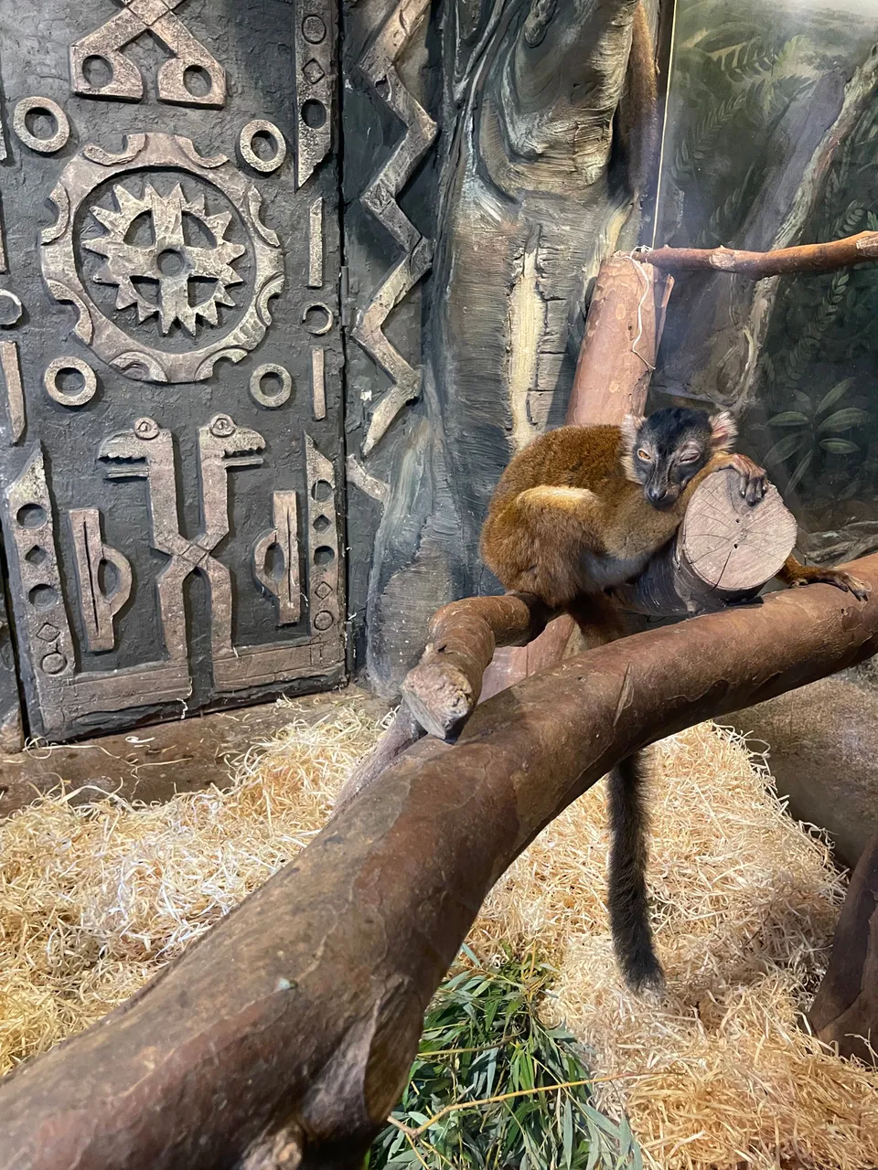 Зоопарк — xl.webp