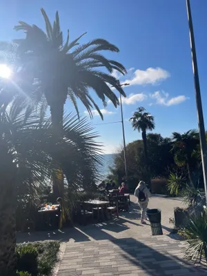 В Сочи на 2 ночи для девушки — xl.webp