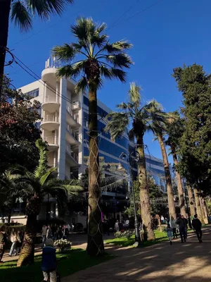 В Сочи на 2 ночи для девушки — xl.webp